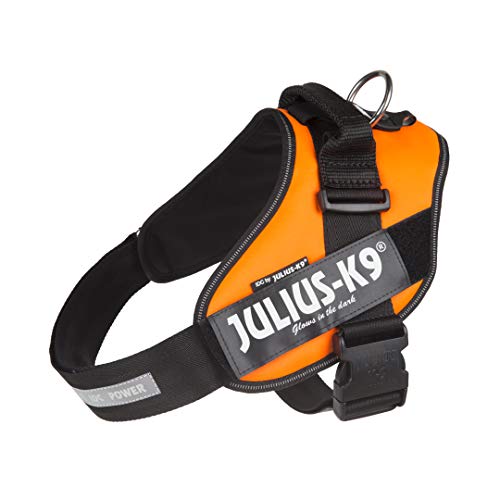 JULIUS-K9 16IDC Power Harness