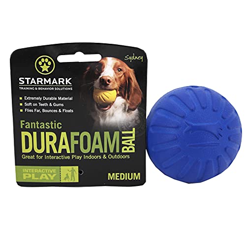 Julius-K9 59845 Fantastic Durafoam Ball - 2, 5", Ø APPR. 7 cm, Blue, M, Azul