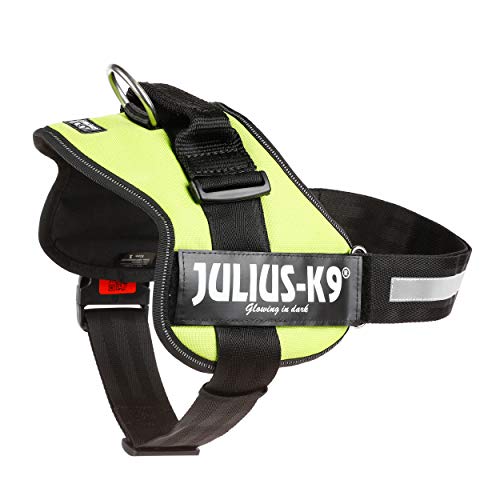 JULIUS-K9 Arnés, Talla 1, L, 66-85 cm, Verde Lima