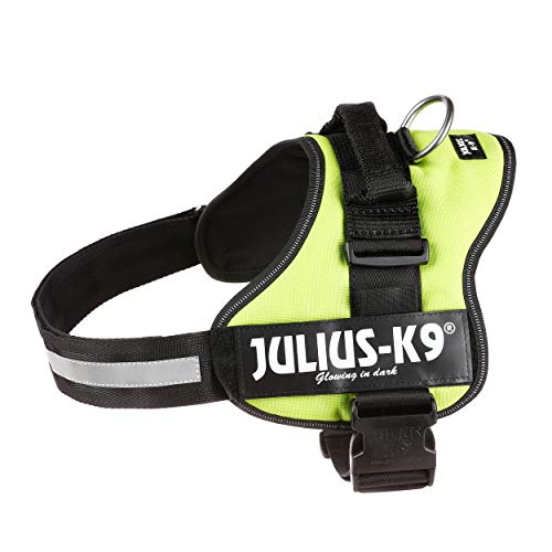 JULIUS-K9 Arnés, Talla 1, L, 66-85 cm, Verde Lima