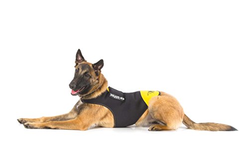 Julius-K9 Chaqueta de neopreno para perro IDC, Talla L, Negro/Amarillo