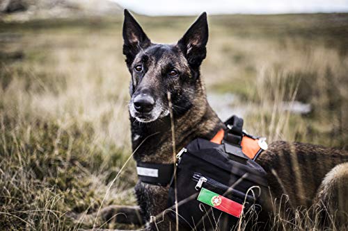 Julius-K9 Velcro National Flags – Par de Etiquetas para Dorsal Power O Belt, Disponible en Dos tamaños, Spagna