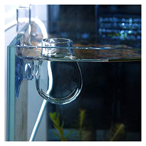 juqingshanghang1 Fish Tank Water Tank Accessories La alimentación de Cristal Copa del Acuario Alimentador Artemia Huevos de lombrices Rojas Alimentos for Acuario (Size : L)