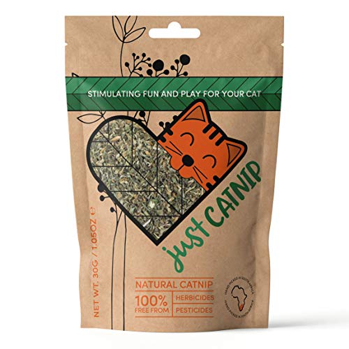 Just Catnip – Hierba Gatera 100% Natural para Gatos, Cultivado & Destilado en Sudáfrica | Juguete y Premio para Gatos Cultivado de forma Sostenible y Ética | El Regalo de Hierba Gatera Perfecto