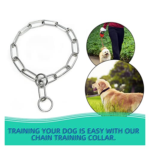 JUSTPENGHUI Collares de Perros PEQUEÑO Metal DURATORIENTE SÓSIDO SOLIDA DE Acero Inoxidable Choke Collar Pet Collar (Size : X-Small)