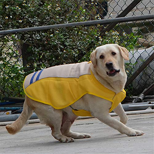 JZTRADE Chaleco Perro Refrescante Ropa para Perros Perro Chaleco Fresco Abrigos Frescos para Perros Chaleco de refrigeración para Perros Mediano Yellow,s