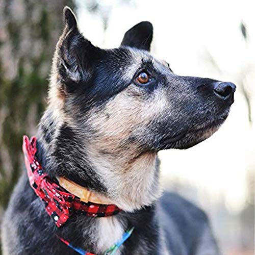 KAEHA SUN-034-00-S diseño Pajarita Collar de Copo de Nieve de Navidad de Vacaciones Ajustable con Lazo de algodón Rojo para Cachorro de Perro pequeño Mediano