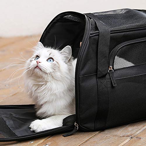 Kaka mall Transportín Perro Gato Transpirable Plegable Pet Carrier Impermeable Bolso de Hombro Acolchado Suave Viaje Avion Tren o Auto por Pequeños Mascota (Negro, S)