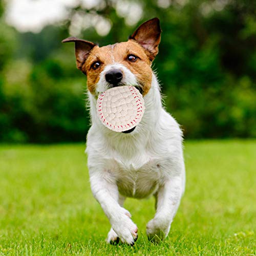 KANUBI Juguete sonoro para mascotas, juguete para perros, limpieza de dientes a prueba de mordeduras, pelota de látex para ortodoncia, pelota de entrenamiento interactiva para mascotas