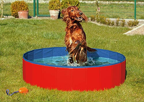 Karlie 31886 Doggy Pool Piscina, Azul y Rojo, 20 cm, Ø 80 cm, M