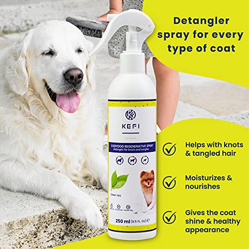 KEFI animals Aerosol de Cuidado para Perros de Everydog con Aroma a té Verde Fresco, para Pelo Corto, Pelo Largo, con lanolina y glicerina, hidrata y nutre el Cabello, Botella de Spray de 250 ml