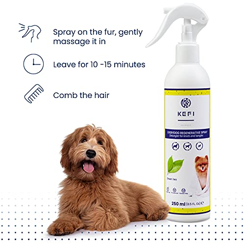 KEFI animals Aerosol de Cuidado para Perros de Everydog con Aroma a té Verde Fresco, para Pelo Corto, Pelo Largo, con lanolina y glicerina, hidrata y nutre el Cabello, Botella de Spray de 250 ml