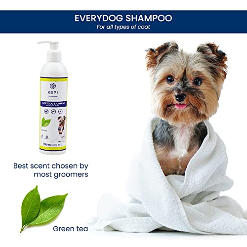 KEFI Animals Everydog - Champú para perros con aroma a té verde, botella con dispensador, 250 ml