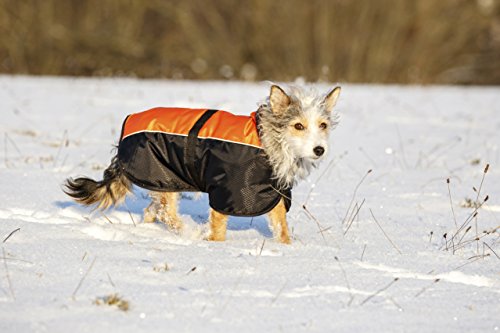 Kerbl 80632 Sölden - Abrigo para Perros (XXXL, 70 cm), Color Negro y Naranja