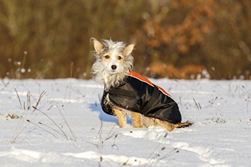 Kerbl 80632 Sölden - Abrigo para Perros (XXXL, 70 cm), Color Negro y Naranja