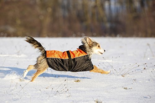 Kerbl 80632 Sölden - Abrigo para Perros (XXXL, 70 cm), Color Negro y Naranja