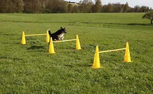 Kerbl Agility Cone-Three Hurdle - Set de 3 Conos, Color Amarillo