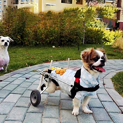 KHUY Sillas de Ruedas para Perros Carrito para Perros, Sin Llamar Ruedas de Pequeños Animales Ejercicio Ruedas Llave de Pierna para Perros Pata Trasera (Size : X-Small Upgraded)