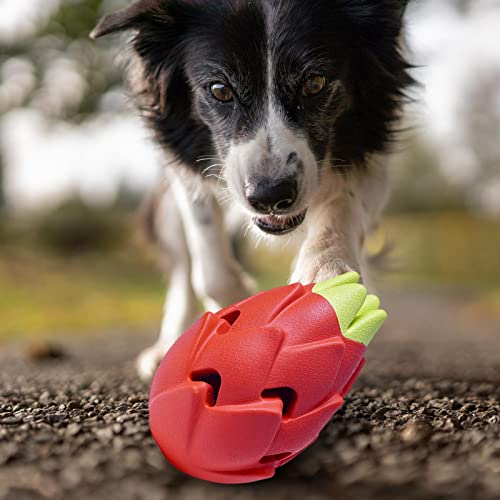 Kinget Juguete para Masticar Frutas para Perros, Juguete Resistente a Las Fugas de Comida para Perros, Juguetes interactivos para Perros de diseño Elegante, Juguetes para Perros para masticadores