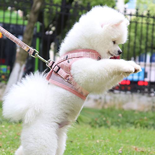 KINGLEAD Arnés para Perros y Conjunto de Correa,arnés Reflectante, Conjunto de Correa,Chaleco Ajustable para Perros, Arnés de Pecho Chaleco para Mascotas con Correa de Perro