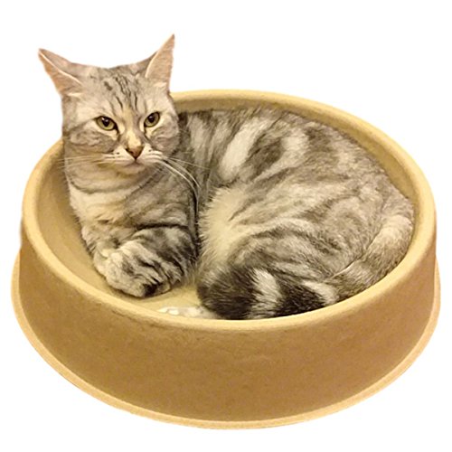 KittyDoo ComfyCat Cama para Gatos - Sofá, Cáscara Circular para Gatos, Cómoda, Sana y Resistente a los Arañazos. Pack de 3 Unidades