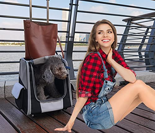 KLLKR Carrito de Transporte para Gatos Mochila Transpirable para Perros Mascotas ara Llevar Perros Cachorros Gatos de hasta 8 kg extraíble Plegable Rueda silenciosa