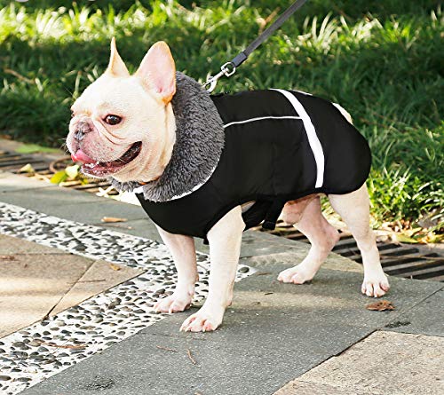 Komate Impermeable Chaqueta de Perro Abrigo de Invierno Chaqueta Cachorro Reflectante de Seguridad Pequeño Mediano Perros Grandes Traje a Prueba de Viento S Negro