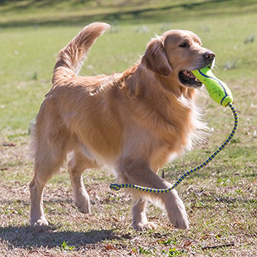 Kong Air Stick Squeaker con Cuerda L