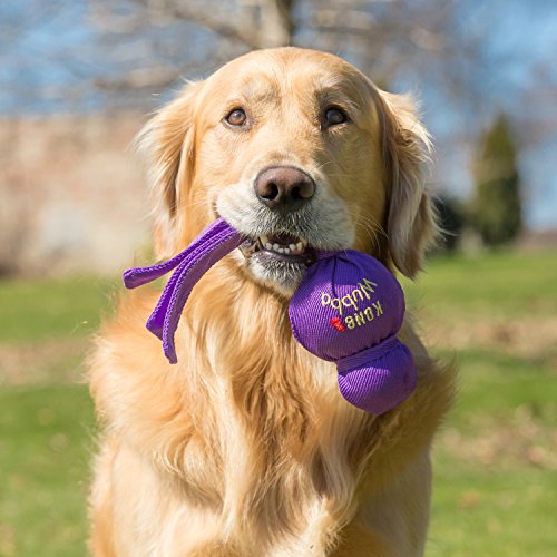 KONG - Wubba - Mordedor elástico para buscar (varios colores) - Para Perros de Raza Pequeña