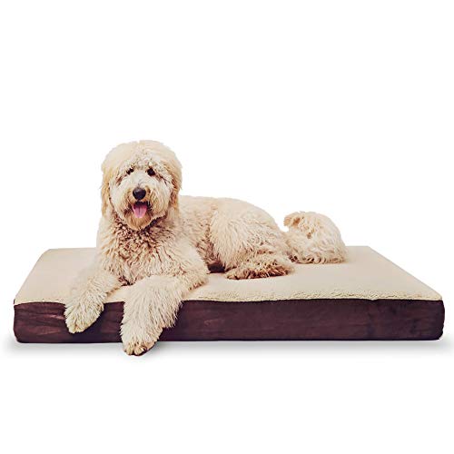 KOPEKS Cama rectangular de espuma viscoelástica para perro, incluye protector interior impermeable y funda extraíble, color marrón