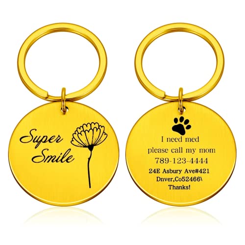 krui Collares para Perros Personalizados,Collares Perros Personalizados,Placas para Perros Grabadas,Chapa Perro Personalizada,Pajaritas para Perros (Grande 34 mm,Oro)