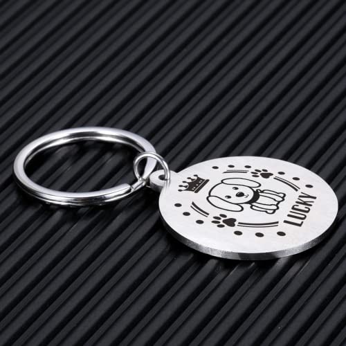 krui Collares Perros Personalizados,Chapa Perro Personalizada,Collares para Perros Personalizados,Placa Perro Grabada,Collar para Perros con Nombre,Pajarita para Perros (Oro)