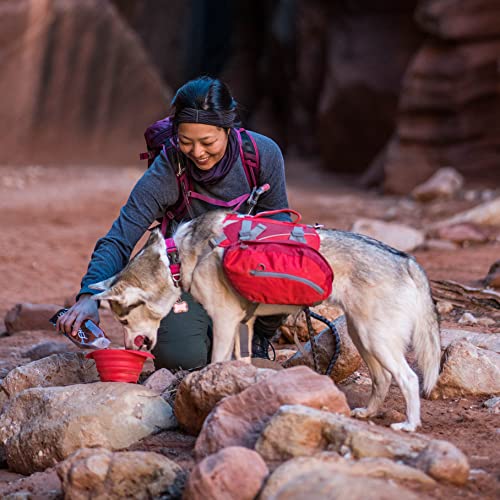 Kurgo Baxter - Mochila Arnés Chaleco para Perro, Bolsa Sillón para Excursionismo, Senderismo y Camping - Rojo - L