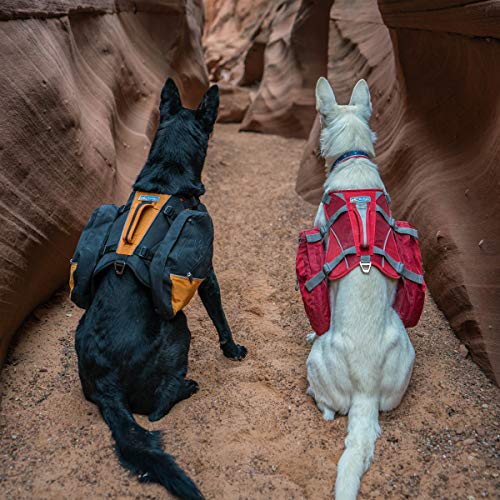 Kurgo Baxter (TM) - Mochila de Senderismo para Perro, Mochila alforja