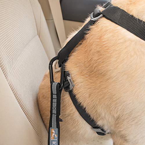 Kurgo Cinturón de seguridad ajustable para perros, 2 unidades, color gris carbón