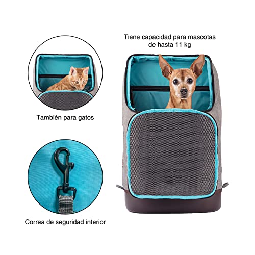 Kurgo K9, Mochila Transportín para Perros y Gatos, Senderismo, Bolsillo para Portátil, Base Impermeable, hasta 11kg, Gris