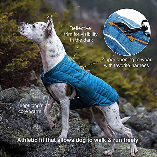 Kurgo Loft - Abrigo Reversible para Perros, Chaqueta Invierno para Mascotas, Impermeable, Reflectante - Verde, XL