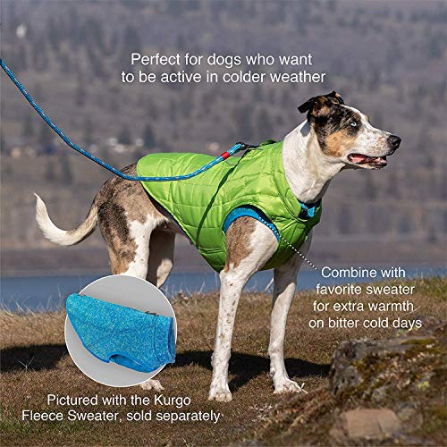 Kurgo Loft - Abrigo Reversible para Perros, Chaqueta Invierno para Mascotas, Impermeable, Reflectante - Verde, XL