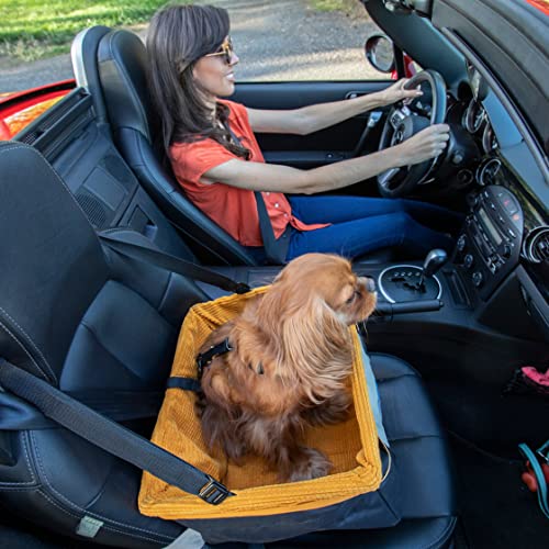 Kurgo Skybox, Asiento de Coche para Perros, Asiento Elevador para Mascotas, Cinturón de Seguridad, Contra Mareos, Negro/Naranja