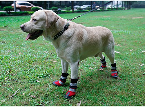 L-Peach 4PCS 4 Pcs Botas de Perro Zapatos Protectores de patas Antideslizantes Impermeables Ligeros con Cinta Reflectante de Velcro para Lluvia Nieve Anti Frío y Calor Rojo XL