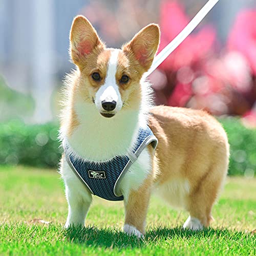 La Sujeción Reflectante para Perros No Mata El Cómodo Chaleco Transpirable con Correa para Mascotas Y El Alquiler De Perros para Cachorros Mediano Peque?o Collares para Perros