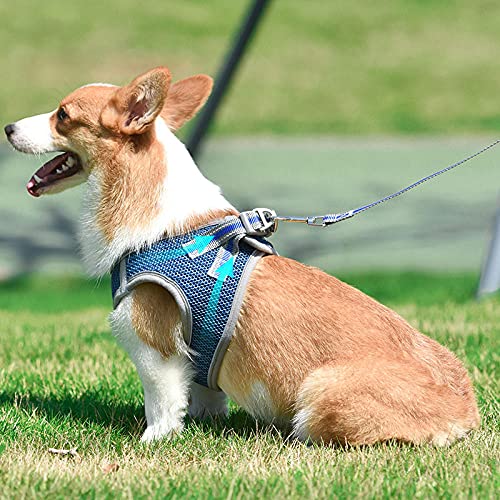 La Sujeción Reflectante para Perros No Mata El Cómodo Chaleco Transpirable con Correa para Mascotas Y El Alquiler De Perros para Cachorros Mediano Peque?o Collares para Perros