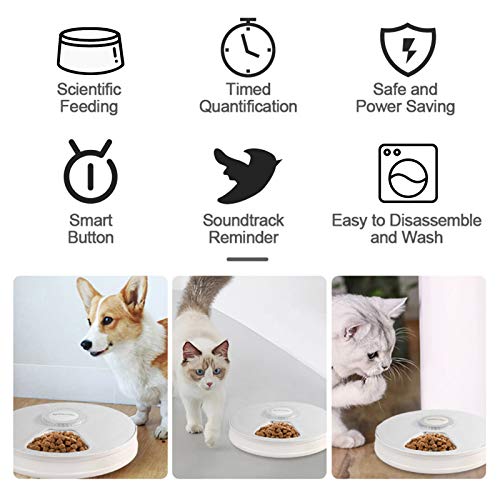 Lacyie Comedero Automático para Perros y Gatos, Dispensador de Comida automático con Temporizador, 6 Dispensador de Alimentos Secos y húmedos para Perros, Gatos, Conejos y Mascotas Pequeñas