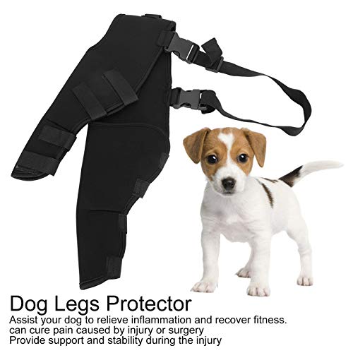 Ladieshow Protector de Patas traseras para Perros, Soporte para piernas para Perros Rodilleras Ajustables, Soporte para piernas para protección de Lesiones y esguinces, curación de heridas(XS)