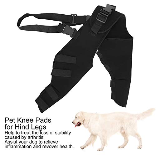 Ladieshow Protector de Patas traseras para Perros, Soporte para piernas para Perros Rodilleras Ajustables, Soporte para piernas para protección de Lesiones y esguinces, curación de heridas(XS)