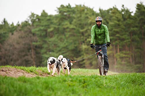 LASALINE Arnés para Perros X-Back para Bicicleta Canicross, esquí, jöring, Patinete, Color Negro y Azul Claro…