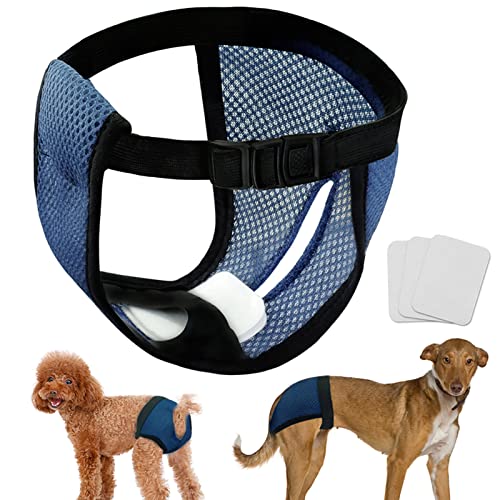 LeerKing 2 Paquetes Braga para Celo Perras con 6 Toallas Sanitarias Menstruales Malla Lavable Calzoncillos Higiénicos Reutilizables para Perros Azul L