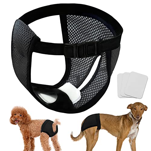 LeerKing 2 Paquetes Braga para Celo Perras con 6 Toallas Sanitarias Menstruales Malla Lavable Calzoncillos Higiénicos Reutilizables para Perros Negro L