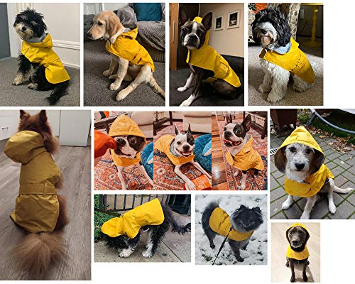 LeerKing Chubasquero para Perros Chaqueta para Lluvia Impermeable Mascota Perro con Capucha Resistente al Agua Abrigo de Invierno para Perros Pequeños y Medianos, Amarillo S