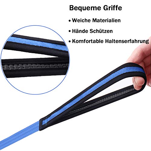 Leeyunbee 10M Cuerda de Adiestramiento para Perros, Correa de Perro Resistente Robusto, Correa Perro Larga Nylon, Correa de Entrenamiento para Perros Grandes y Pequeños (Azul)